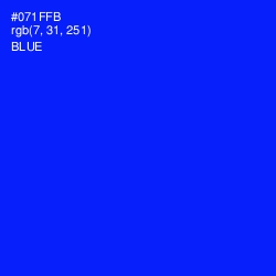 #071FFB - Blue Color Image