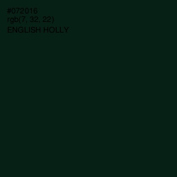 #072016 - English Holly Color Image