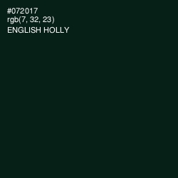 #072017 - English Holly Color Image