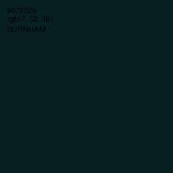 #072026 - Burnham Color Image