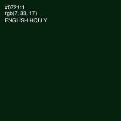 #072111 - English Holly Color Image