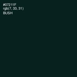 #07211F - Bush Color Image