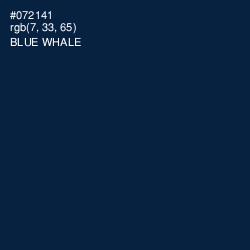 #072141 - Blue Whale Color Image