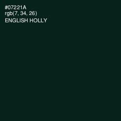 #07221A - English Holly Color Image