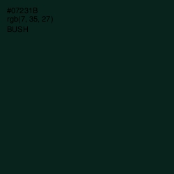 #07231B - Bush Color Image