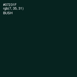 #07231F - Bush Color Image