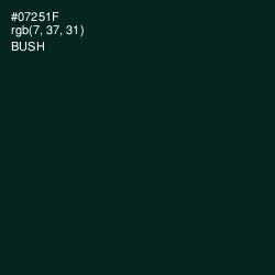 #07251F - Bush Color Image