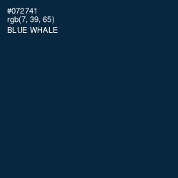 #072741 - Blue Whale Color Image