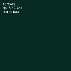 #072A22 - Burnham Color Image