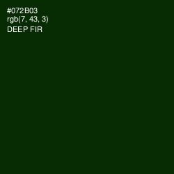 #072B03 - Deep Fir Color Image