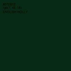 #072B12 - English Holly Color Image