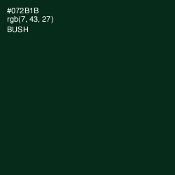 #072B1B - Bush Color Image