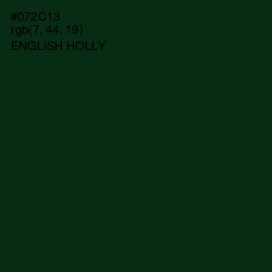 #072C13 - English Holly Color Image