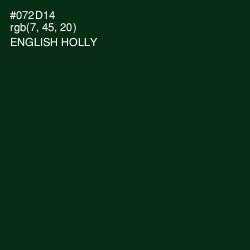 #072D14 - English Holly Color Image