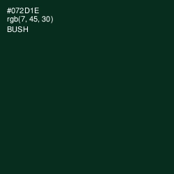 #072D1E - Bush Color Image