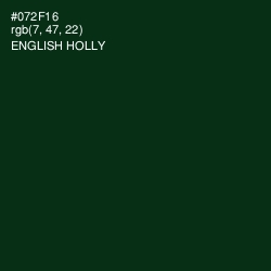 #072F16 - English Holly Color Image