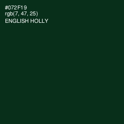#072F19 - English Holly Color Image
