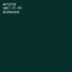 #072F2B - Burnham Color Image