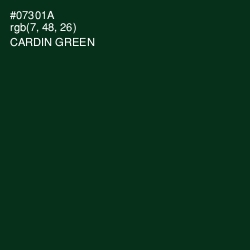 #07301A - Cardin Green Color Image