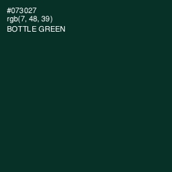 #073027 - Bottle Green Color Image