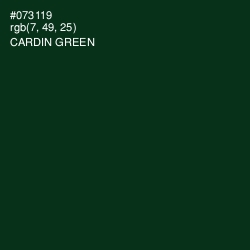 #073119 - Cardin Green Color Image