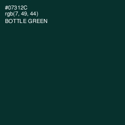 #07312C - Bottle Green Color Image