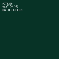 #073226 - Bottle Green Color Image