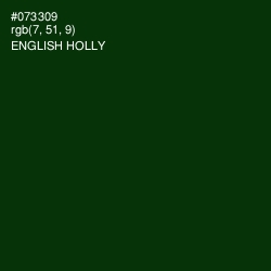 #073309 - English Holly Color Image