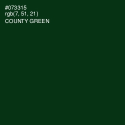 #073315 - County Green Color Image