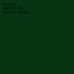 #073412 - County Green Color Image