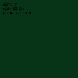 #073417 - County Green Color Image