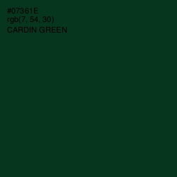 #07361E - Cardin Green Color Image