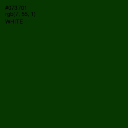 #073701 - Deep Fir Color Image