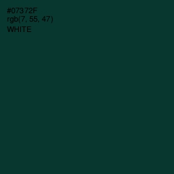 #07372F - Bottle Green Color Image