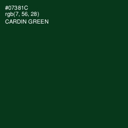 #07381C - Cardin Green Color Image