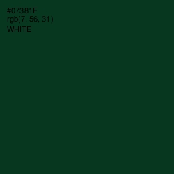 #07381F - Cardin Green Color Image