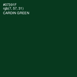 #07391F - Cardin Green Color Image
