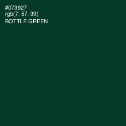 #073927 - Bottle Green Color Image