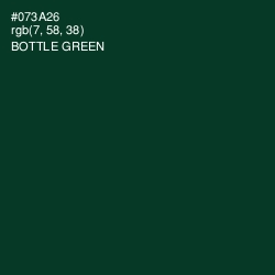 #073A26 - Bottle Green Color Image