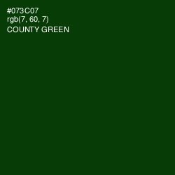 #073C07 - County Green Color Image