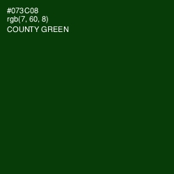 #073C08 - County Green Color Image