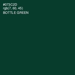 #073C2D - Bottle Green Color Image