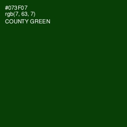 #073F07 - County Green Color Image