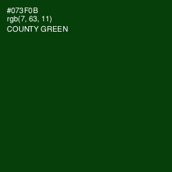 #073F0B - County Green Color Image