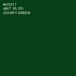 #073F17 - County Green Color Image