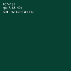 #074131 - Sherwood Green Color Image