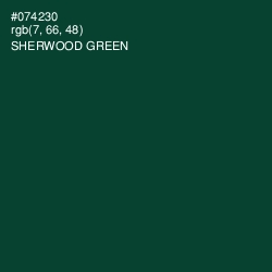 #074230 - Sherwood Green Color Image