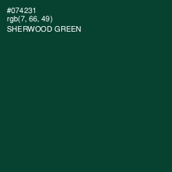 #074231 - Sherwood Green Color Image