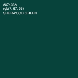 #07433A - Sherwood Green Color Image