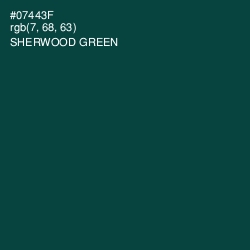 #07443F - Sherwood Green Color Image